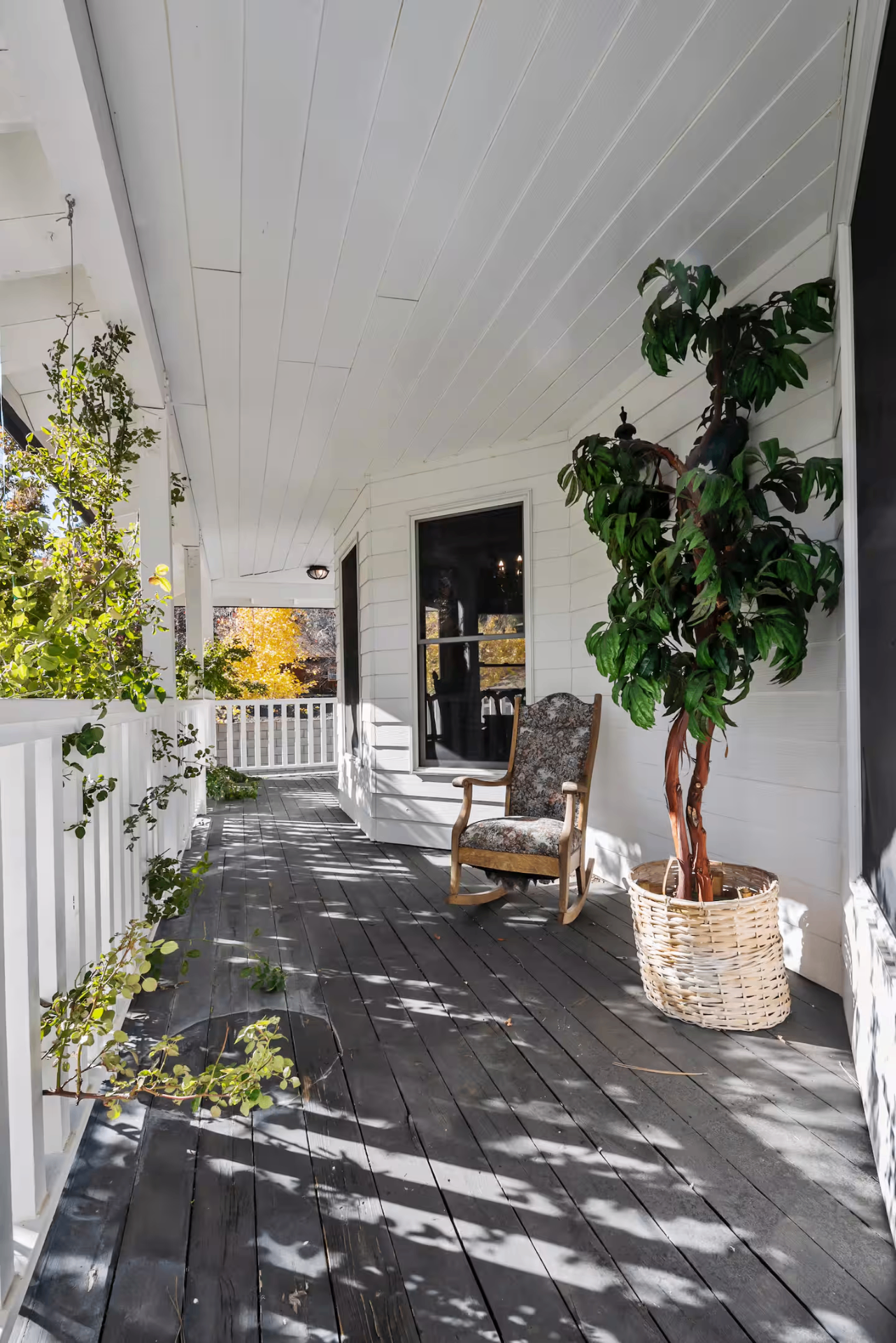 Porches & Grounds — view 1