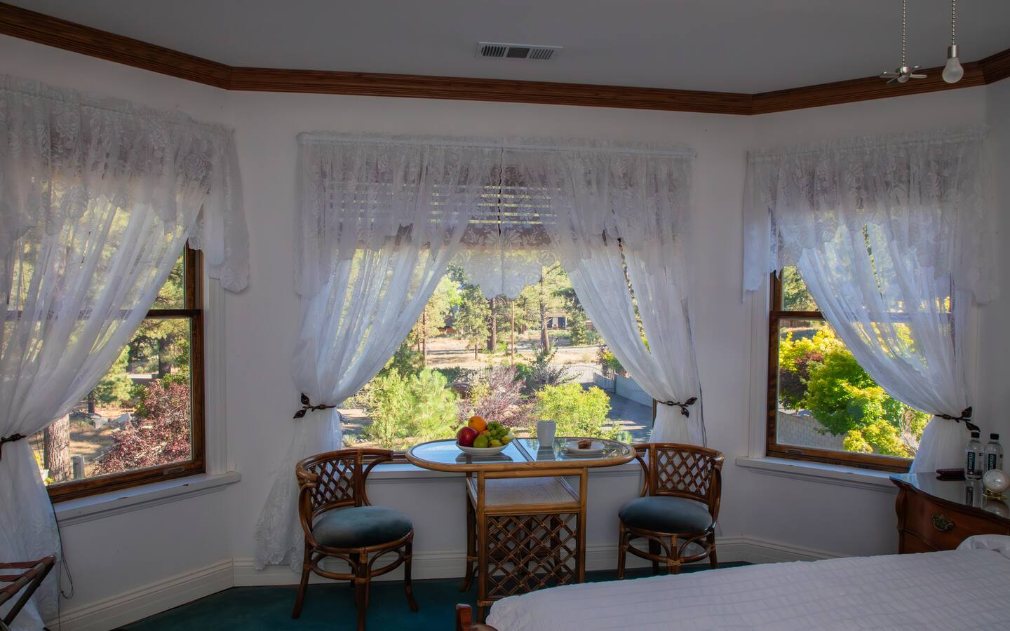 Bay window view
